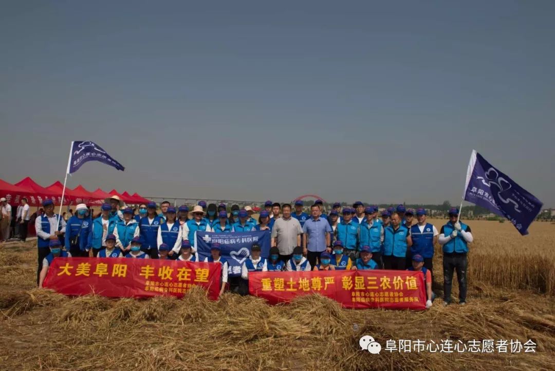 大美阜阳    丰收在望